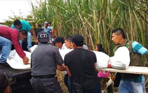 Ba vụ thảm sát trong 24 giờ: Tuần đẫm máu tại Colombia