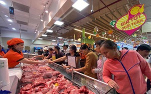 Heo nhập ùn ùn tràn về, giá heo hơi hôm nay còn 80.000 đồng/kg, nông hộ lo hết "cửa"