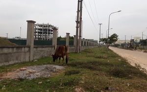 Lời giải nào cho khu công nghiệp: Vẽ cho nhiều... để bỏ hoang