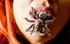 Điều gì xảy ra nếu bạn vô tình nuốt phải một con nhện độc khi đang ngủ?
