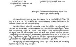 UBND quận 12 cảnh báo cá sấu xuất hiện trên sông Sài Gòn