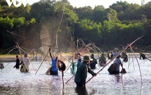 Hàng trăm người thi nhau lội bùn bắt cá trong lễ hội phá trằm