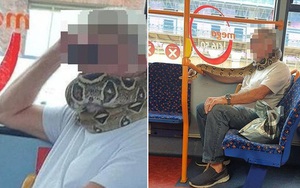 Hành khách kinh hãi chứng kiến người đàn ông bị con trăn quấn quanh cổ trên xe bus, tìm hiểu nguyên nhân lại càng bất bình hơn