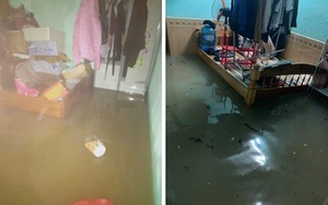 Sinh viên Đà Nẵng khóc ròng nhìn phòng trọ ngập tận mép giường, cả đêm thức trắng tát nước ra ngoài