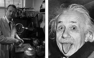 Chuyện ly kỳ về bộ não bị đánh cắp của thiên tài Einstein