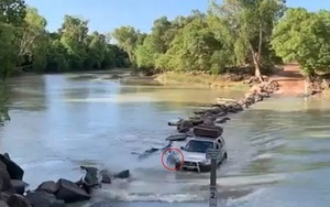 Tài xế vô tình “cán” qua cá sấu ở “khúc sông tử thần” Cahills Crossing (Australia)