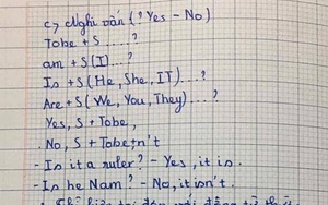 Ấm ức vì con bị cô giáo bắt chép phạt 20 lần, bà mẹ lên mạng tố cáo nhưng không ngờ các vị phụ huynh khác đều có chung một câu trả lời