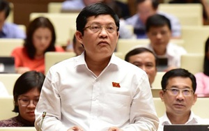 Công ty Tân Thuận kiến nghị cho ông Phạm Phú Quốc có 2 quốc tịch thôi việc