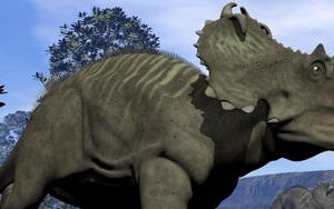 Tìm thấy khối u ác tính 76 triệu năm trong xương khủng long