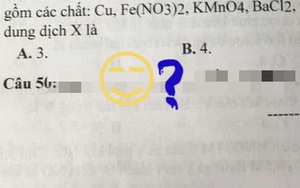 Đề kiểm tra xuất hiện câu hỏi có nội dung lạ, học trò đọc xong cười không nhặt được mồm nhưng chẳng biết giáo viên chấm điểm bằng cách nào