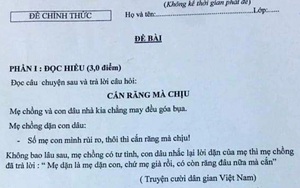 Giáo viên ở Gia Lai ra đề Ngữ văn có nội dung nhạy cảm