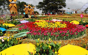 Có gì đặc sắc ở lễ hội hoa kỷ lục hơn 120 triệu Euro tại Quảng Bình?