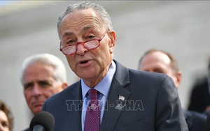 Ông Charles Schumer trở thành lãnh đạo phe đa số tại Thượng viện Mỹ