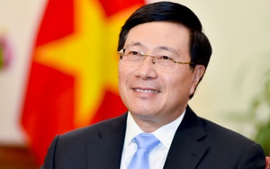 Nhiều biến động chưa từng có, Việt Nam vẫn đạt nhiều kết quả đối ngoại quan trọng