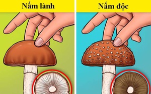 7 kỹ năng xử lý thông minh trong các tình huống “ngàn cân treo sợi tóc”