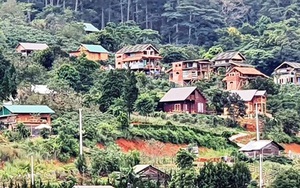 Tháo dỡ 12 căn nhà kiên cố tại ngôi làng 'mọc' chui trên đất rừng
