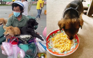 Người nuôi chú chó duy nhất sống sót trong vụ tiêu huỷ đàn chó ở Cà Mau: 'Chú nói có dịp sẽ lên thăm bé!'