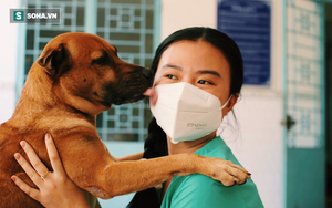 Chủ mất vì Covid-19, chú chó được tình nguyện viên nuôi dưỡng rồi cũng qua đời: ‘Nó không đợi được ngày để tang chủ’