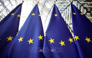 Năm nước EU tuyên bố thành lập lực lượng phản ứng nhanh