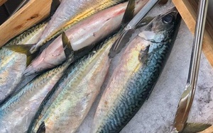 Cách phân biệt các loại cá thu, giá cả và mẹo chọn cá không bị ướp đạm