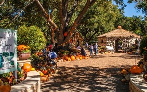 Độc đáo ngôi làng cổ tích được làm từ 90.000 quả bí ngô để đón lễ hội Halloween
