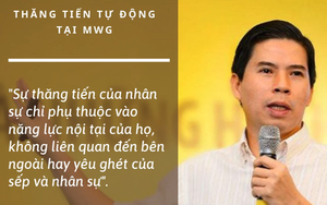 ‘Sự màu nhiệm’ từ hệ thống ‘Thăng tiến tự động’ của Thế Giới Di Động: Dựa trên data để thăng chức, 1 năm tạo ra 1.381 tân quản lý, 500 nhân sự dự bị