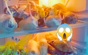 Cắm tủ lạnh 3 tháng ở phòng trọ, cô gái từ quê lên vội vàng mở ra và cái kết không ai ngờ tới