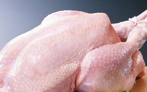 Cách phân biệt các loại thịt gà và giá cả để chị em tự tin đi chợ