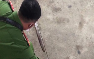 Cậu ném dao trút giận, vô tình găm trúng cổ cháu ruột mới 4 tuổi gây tử vong