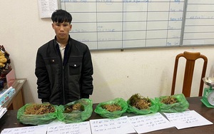 Bắt kẻ trộm hàng loạt "Quốc bảo Việt Nam"