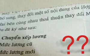 Sếp thông báo tăng lương, cô gái chưa kịp mừng đã liền khóc ngất khi nhìn vào dòng chữ này