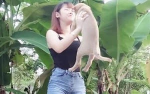 Lãnh đạo TP Hội An: "Thông tin cấm bán thịt chó, mèo là không đúng, không ai mà cấm được"