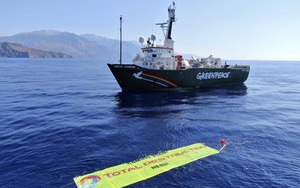 ‘Săn khí đốt’ tại Hy Lạp đe dọa sự sinh tồn của động vật biển