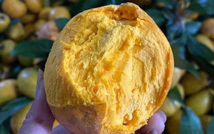 Siêu thực phẩm Amazon bán 1,5 triệu/kg, chợ Việt chỉ 15.000 đồng