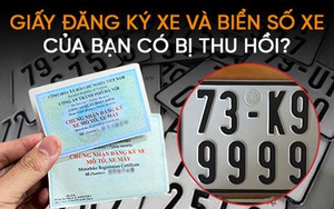 Kiểm tra nhanh giấy đăng ký xe và biển số xe của bạn có thuộc diện sắp bị thu hồi hay không?