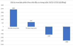 Nhà đầu tư cá nhân đang tập trung gom cổ phiếu nào?