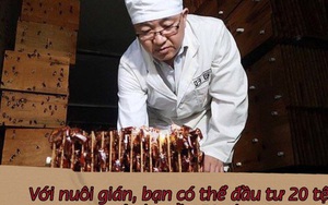 Một ngành kinh doanh ''béo bở'' ở Trung Quốc, có thu nhập tiền tỷ mỗi năm: Hoạt động ''bí mật", vốn ít lời nhiều, thảo nào người người nhà nhà đua nhau làm theo
