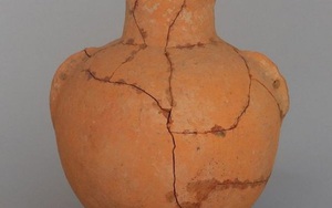 Phát hiện dấu tích của rượu ở ngôi làng cổ đại 8.000 năm tuổi