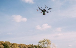Dùng drone trồng rừng