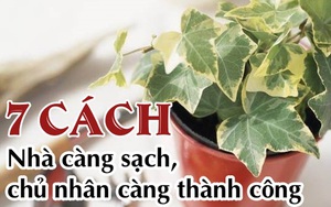 7 cách cực nhanh thanh lọc không khí, không chỉ sống thọ hơn hẳn, mà còn đem tới cả tài lộc gia chủ