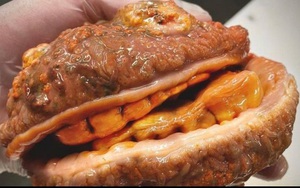 Cá kỳ dị có răng và giống bánh mì kẹp thịt xuất hiện ở Nga