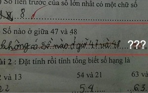 'Số nào ở giữa 47 và 48' - Học trò quả quyết không có liền bị gạch bỏ, đáp án cô giáo đưa ra làm netizen ngã ngửa