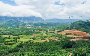 Doanh thu chính 0 đồng, PTC chuyển hướng đầu tư 2 nhà máy điện gió