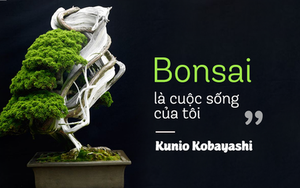 Top 10 cây Bonsai đẹp nhất thế giới