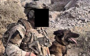 Số phận bất ngờ của những chú chó chiến đấu "hết đát" trong quân đội Anh