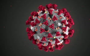 Mỹ phát hiện hàng loạt đột biến đáng lo ngại của SARS-CoV-2