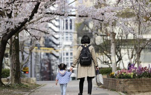 Phụ huynh Nhật Bản "rối não" không biết gửi con đi nhà trẻ hay ở nhà chống dịch