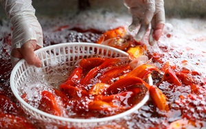 Tấp nập chợ cá lớn nhất Hà Nội trước ngày ông Công ông Táo