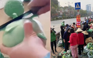 Dân mạng nức nở khen rau củ Hải Dương ngon bổ rẻ, kêu gọi mau mua ủng hộ bà con nông dân vì giá quá hời!