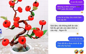 Vợ làm cây bonsai chơi Tết xấu thậm tệ, chồng trót chê vài câu liền nhận cái kết "xanh mặt"